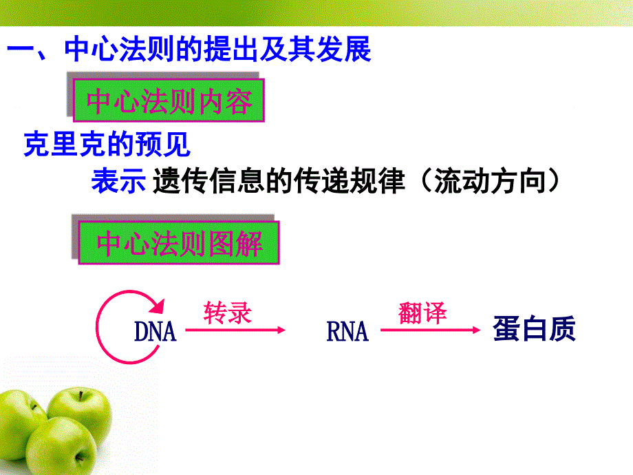 课件42基因对性状的控制_第3页