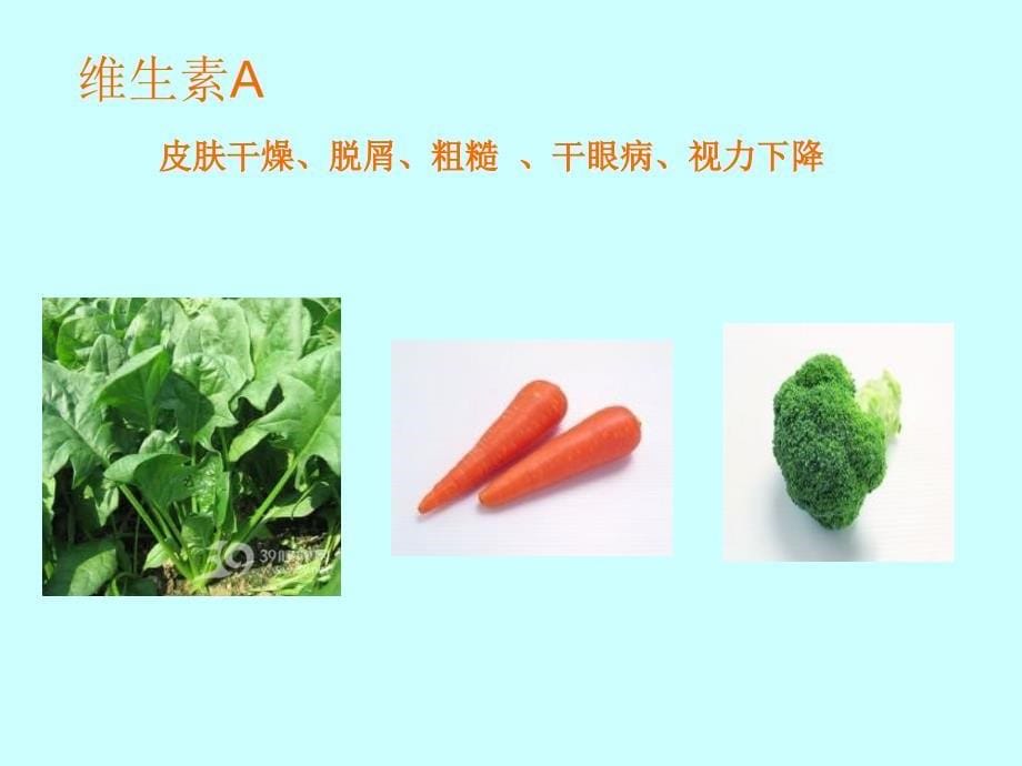 中班健康活动蔬菜我最爱_第5页