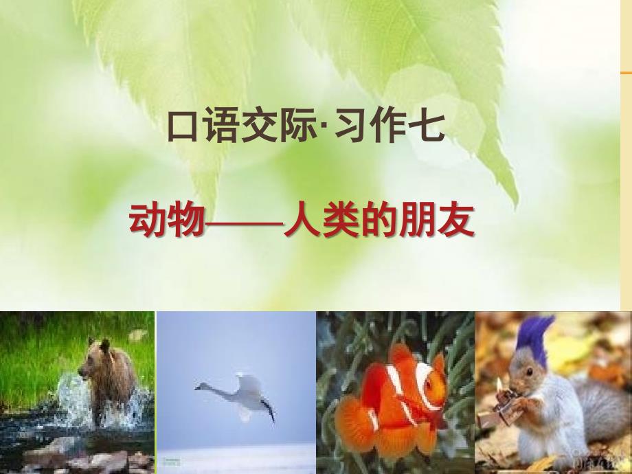 人教版六年级上册第七单元口语交际.ppt_第1页