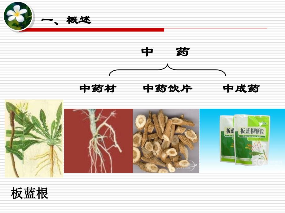 中药的保养护PPT课件_第2页