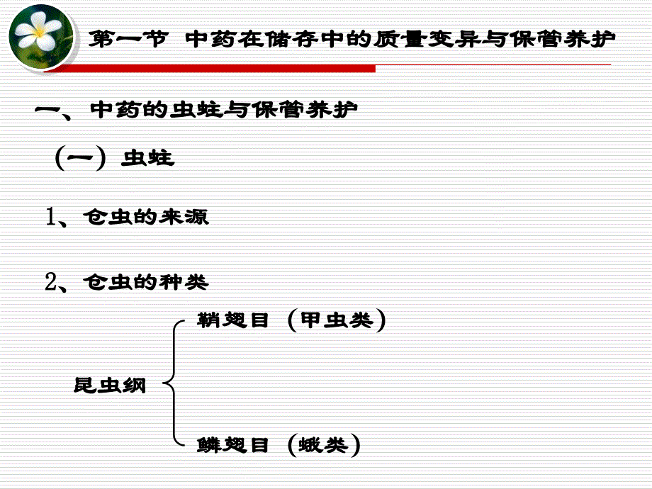 中药的保养护PPT课件_第4页