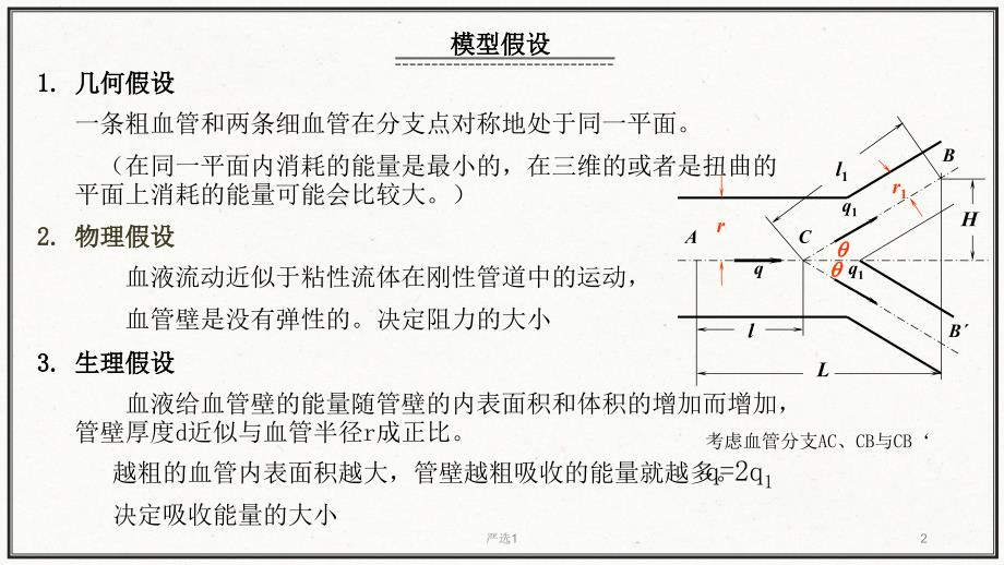 血管分支模型【行业内容】_第2页