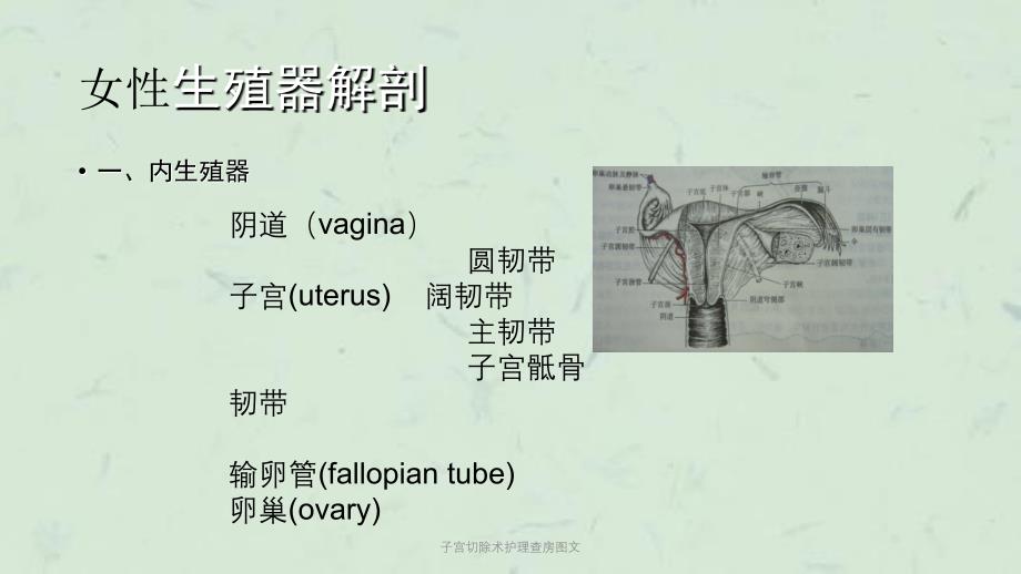 子宫切除术护理查房图文课件_第3页