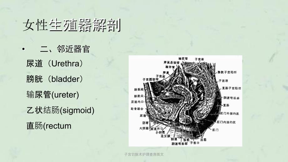 子宫切除术护理查房图文课件_第4页