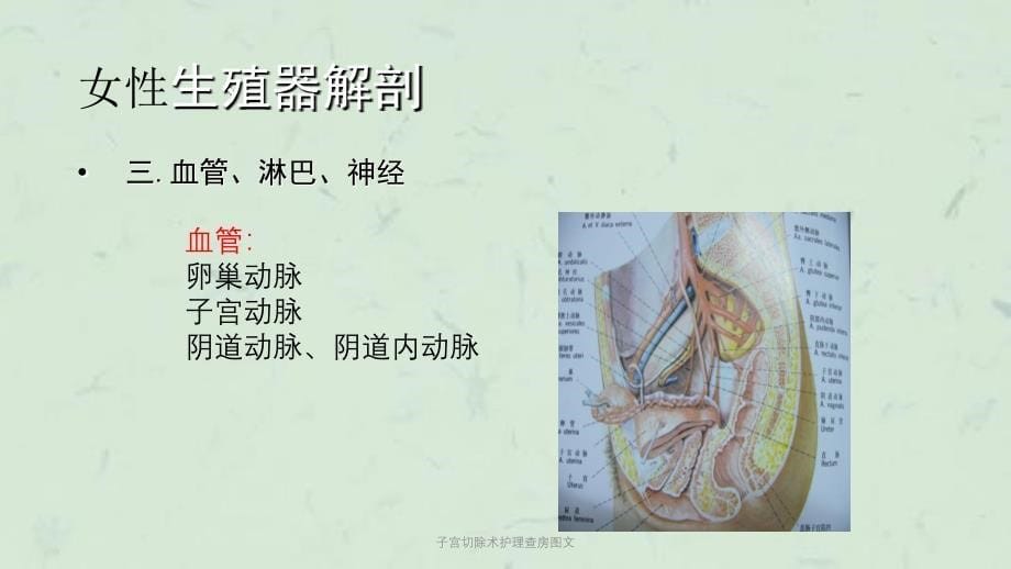 子宫切除术护理查房图文课件_第5页