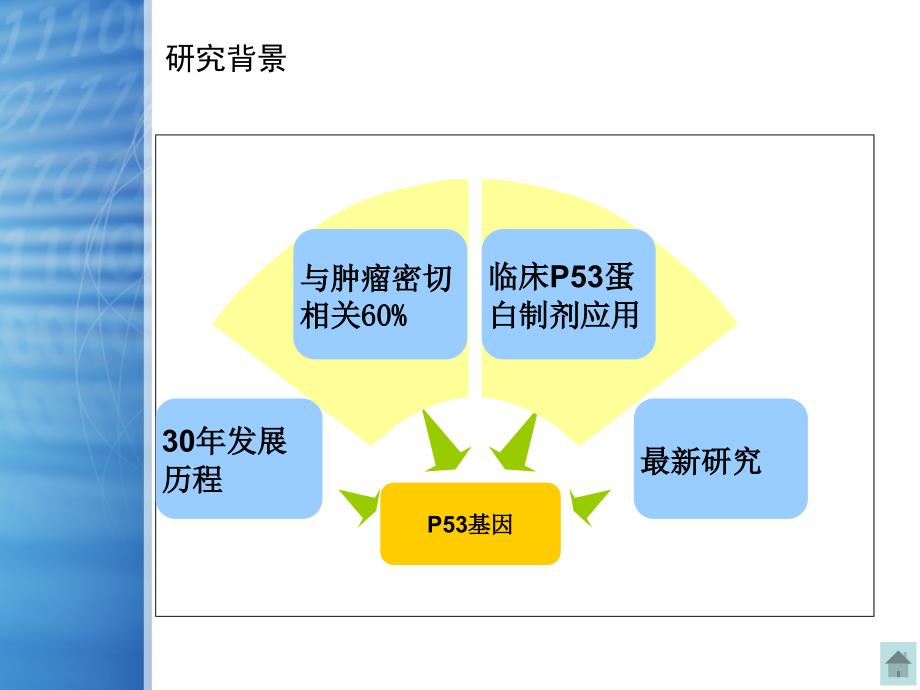 医学专业论文答辩PPT经典模板1PPT_第3页