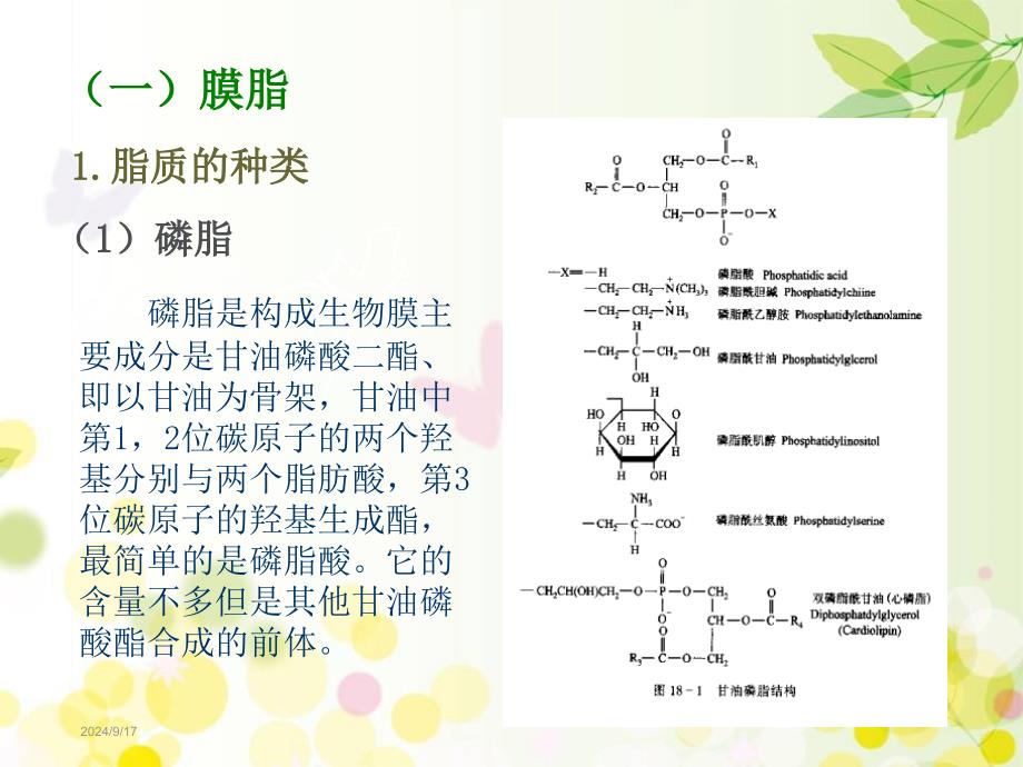 生物膜的组成与结构课件_第4页