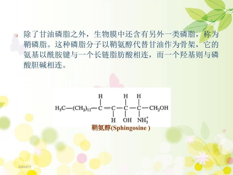 生物膜的组成与结构课件_第5页