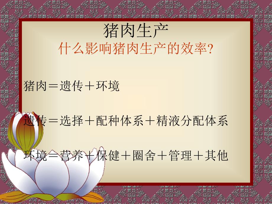 提高养猪生产收益的实用技术养猪技术大全课件_第3页