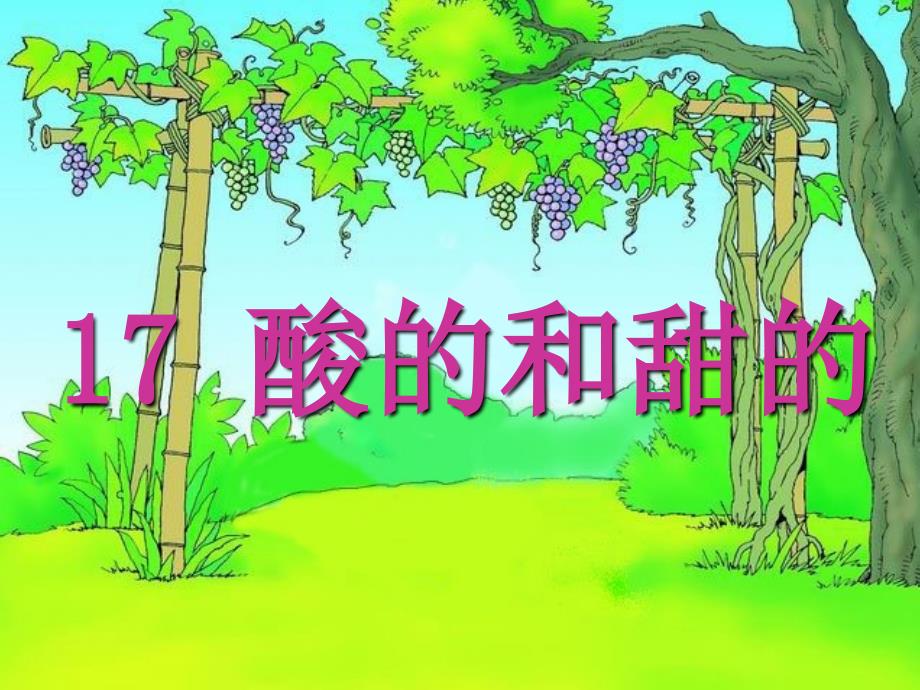 17酸的和甜的ppt1_第1页