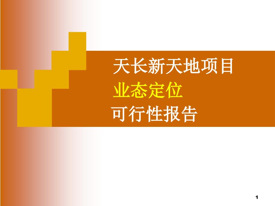 滁州天长新天地项目业态定位可行性研究报告40页_第1页