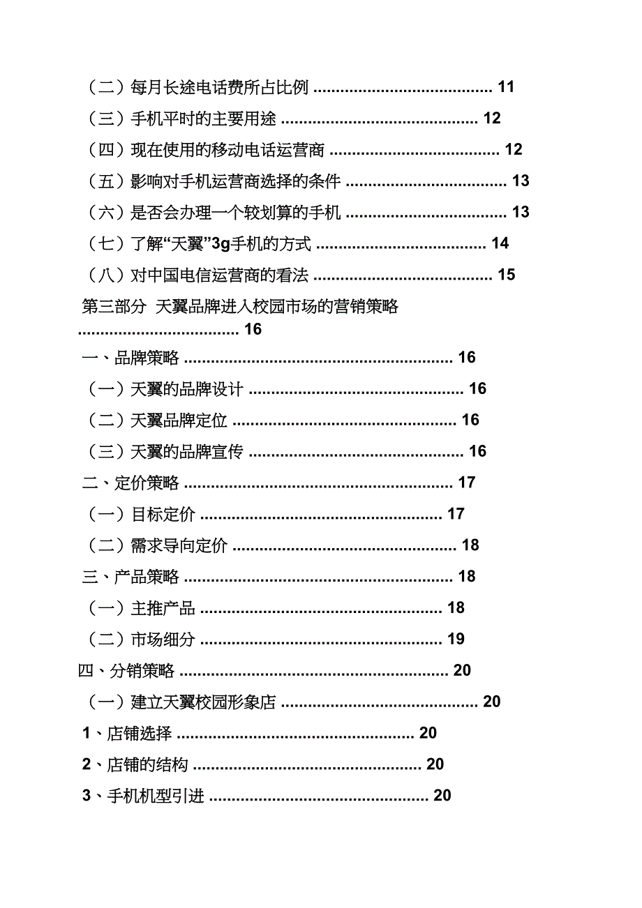 中国电信策划方案_第3页