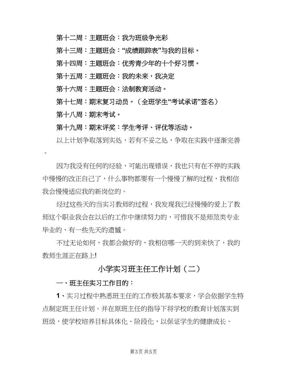 小学实习班主任工作计划（2篇）.doc_第3页