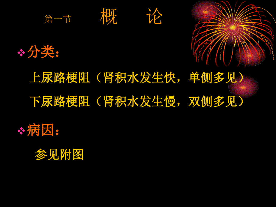 外科学教学课件：第五十五章 泌尿系统梗阻_第2页