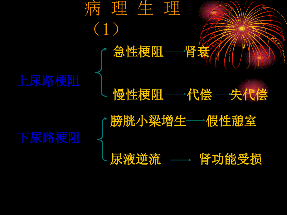 外科学教学课件：第五十五章 泌尿系统梗阻_第4页