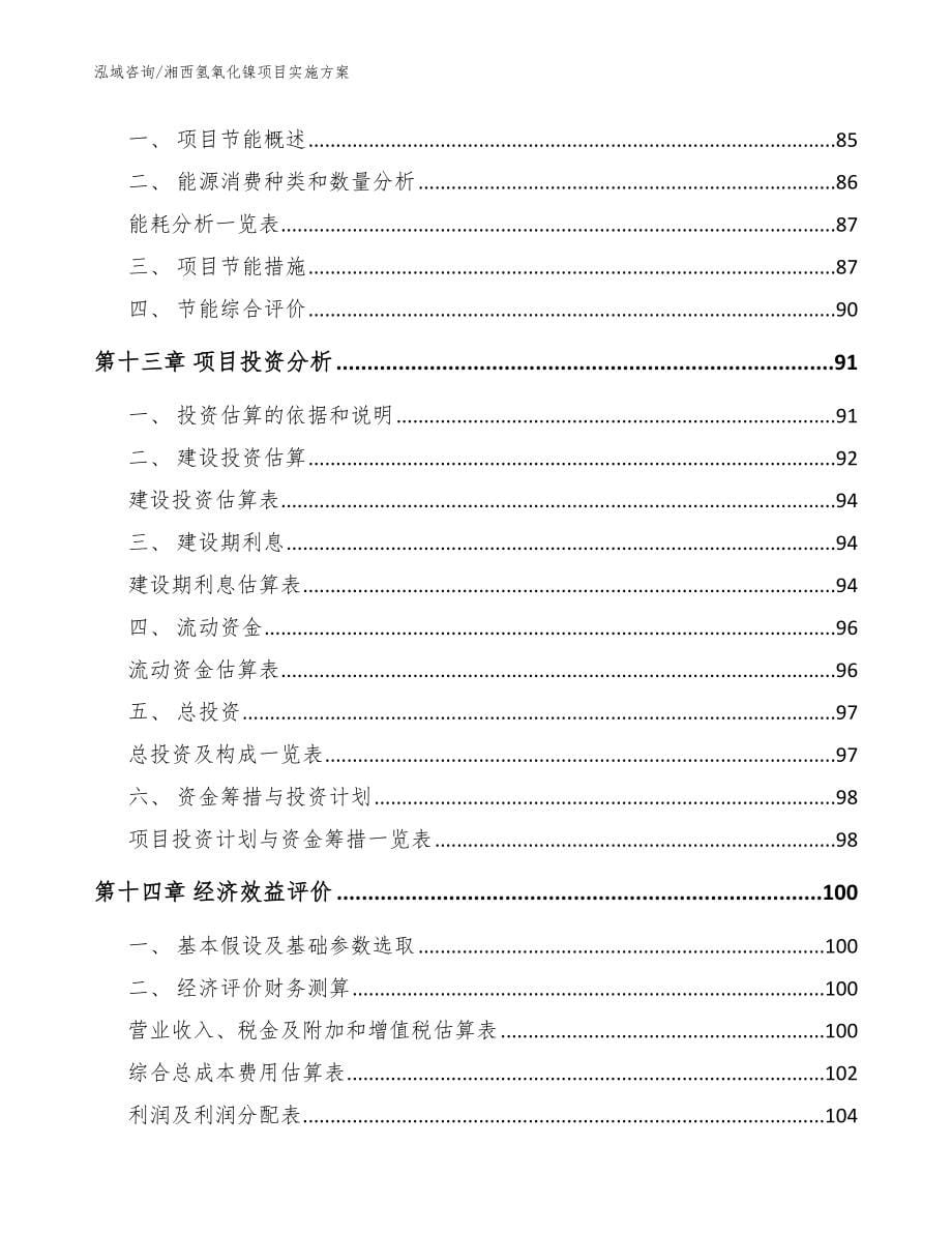 湘西氢氧化镍项目实施方案（模板参考）_第5页