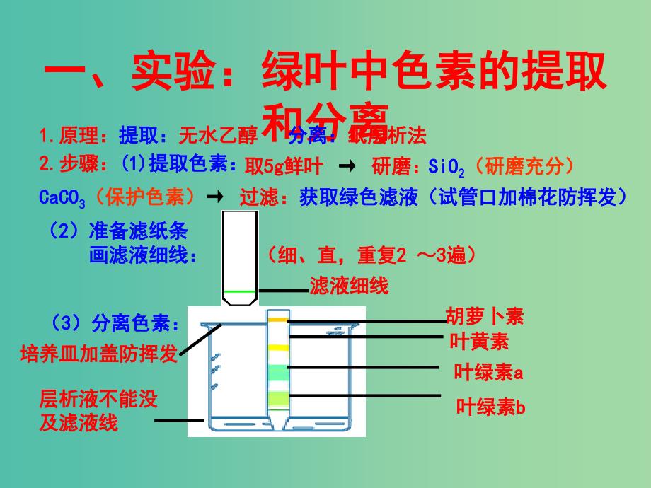 高中生物 专题5.5 能量之源-光与光合作用 捕获光能的色素和结构课件 新人教版必修1.ppt_第2页