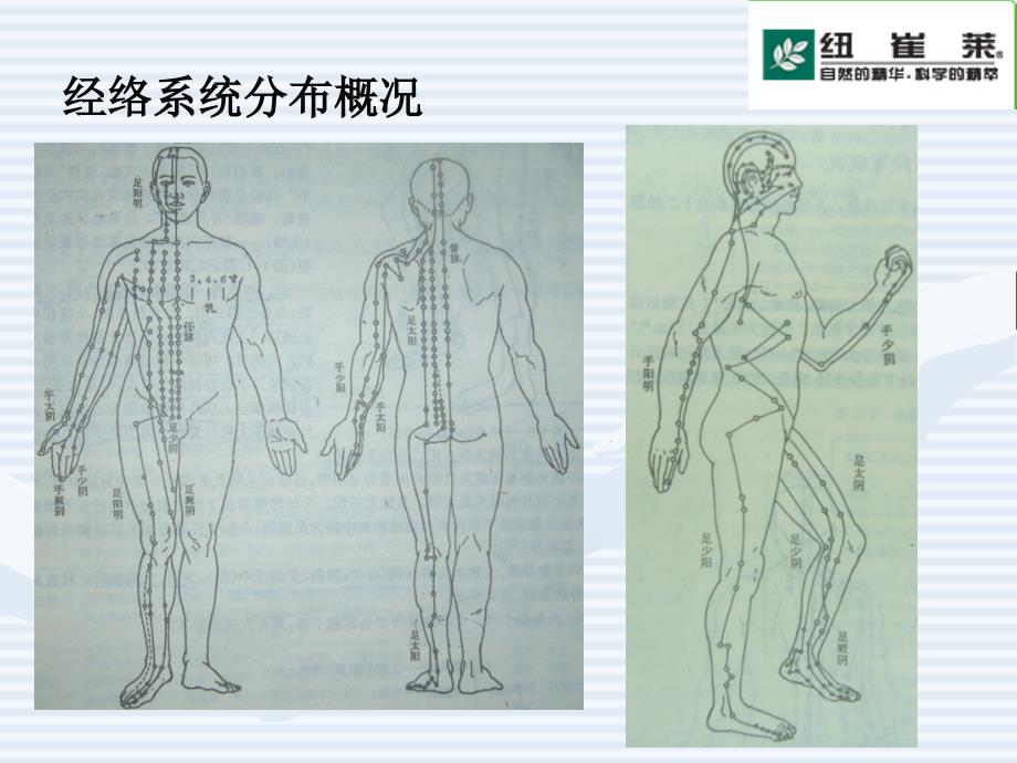 最新：常见病穴位推拿及营养保健文档资料_第3页