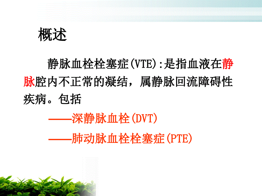 骨科深静脉血栓的预防及护理_第2页