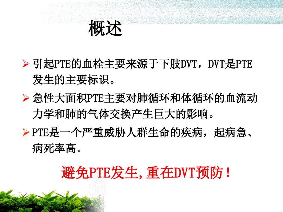 骨科深静脉血栓的预防及护理_第3页