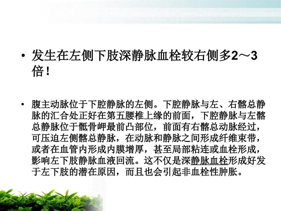 骨科深静脉血栓的预防及护理_第5页