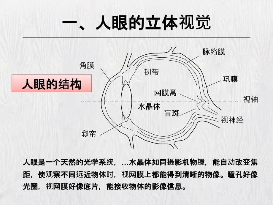 摄影测量学第三章双像立体测图_第5页