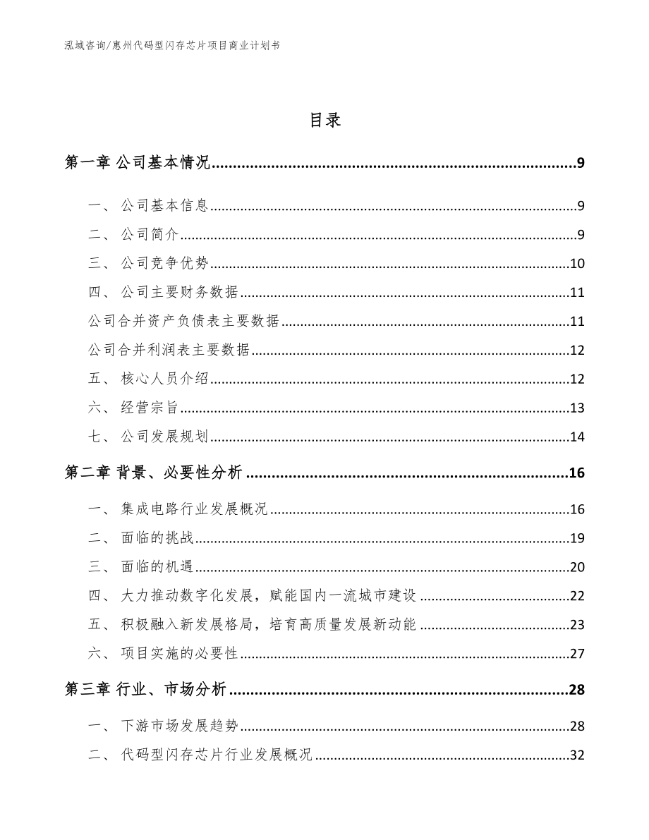 惠州代码型闪存芯片项目商业计划书_第3页