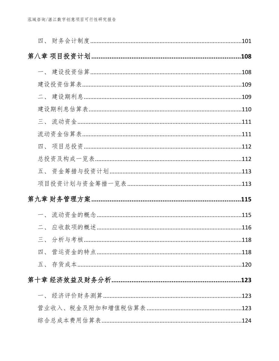 湛江数字创意项目可行性研究报告_第5页