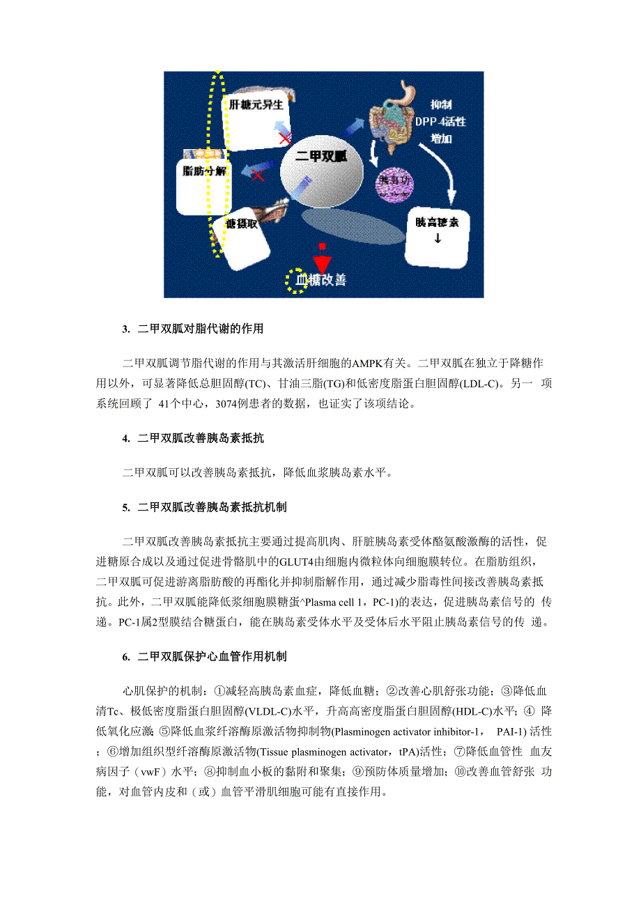 二甲双胍类药物的系统评价_第3页