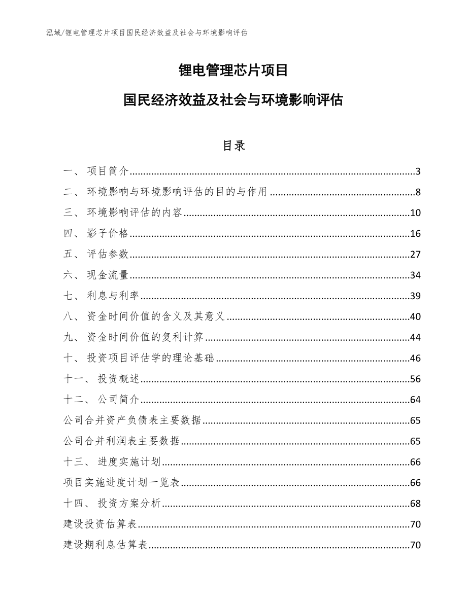 锂电管理芯片项目国民经济效益及社会与环境影响评估_第1页