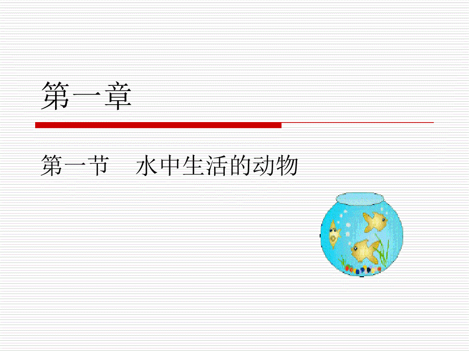 水中生活的动物_第1页