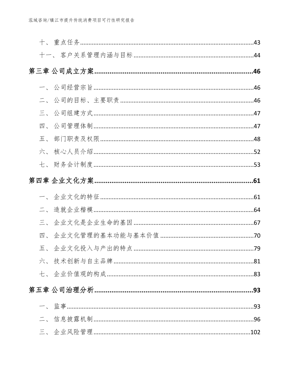 镇江市提升传统消费项目可行性研究报告_第2页