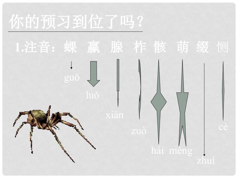 七年级语文下册 《蜘蛛》教学课件 河大版_第5页