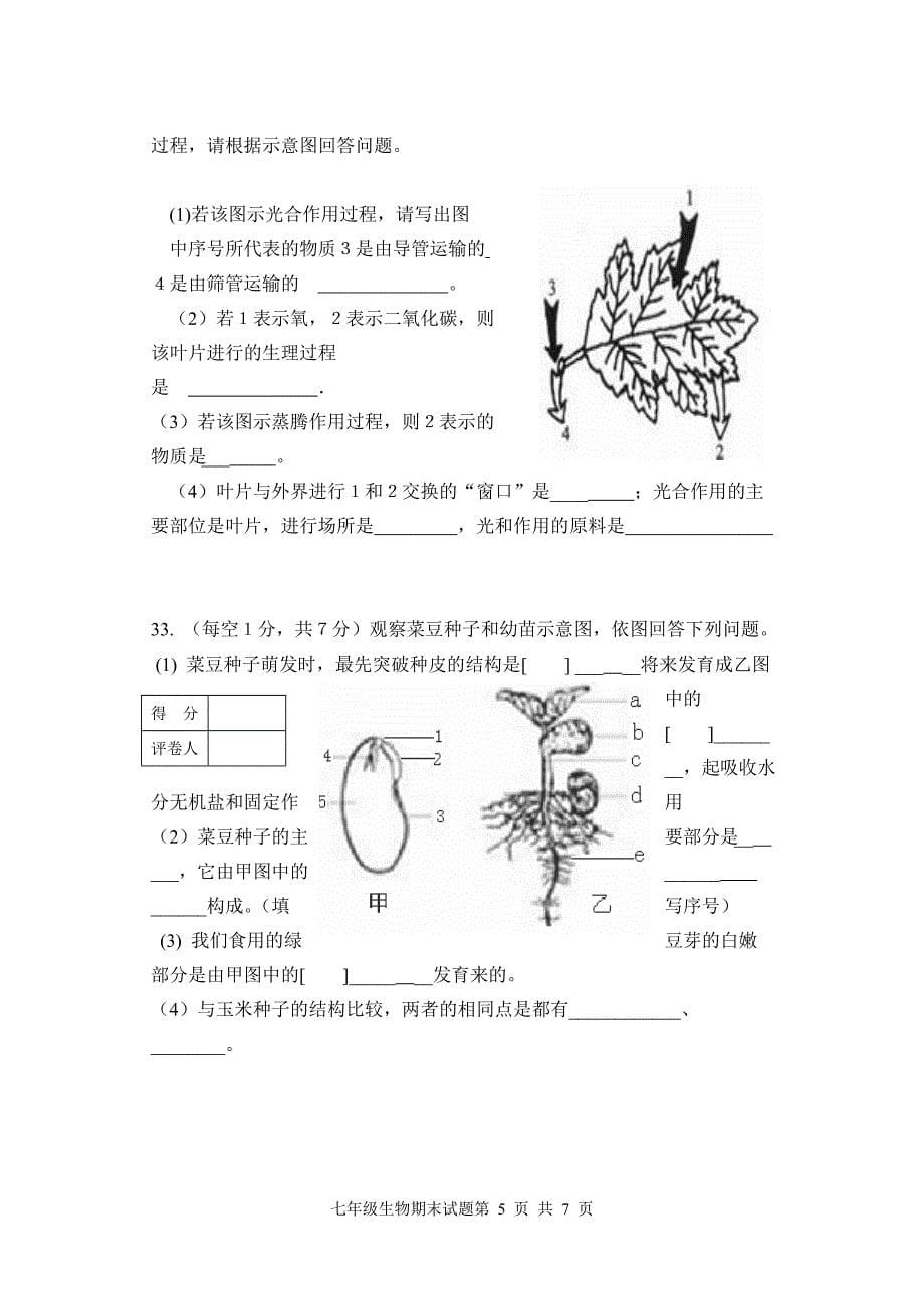 新人教版初中七年级上册生物期末试题及答案_第5页