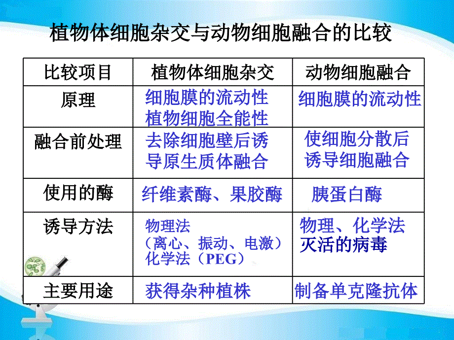 单克隆抗体公开课课件_第2页