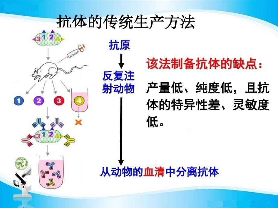 单克隆抗体公开课课件_第5页