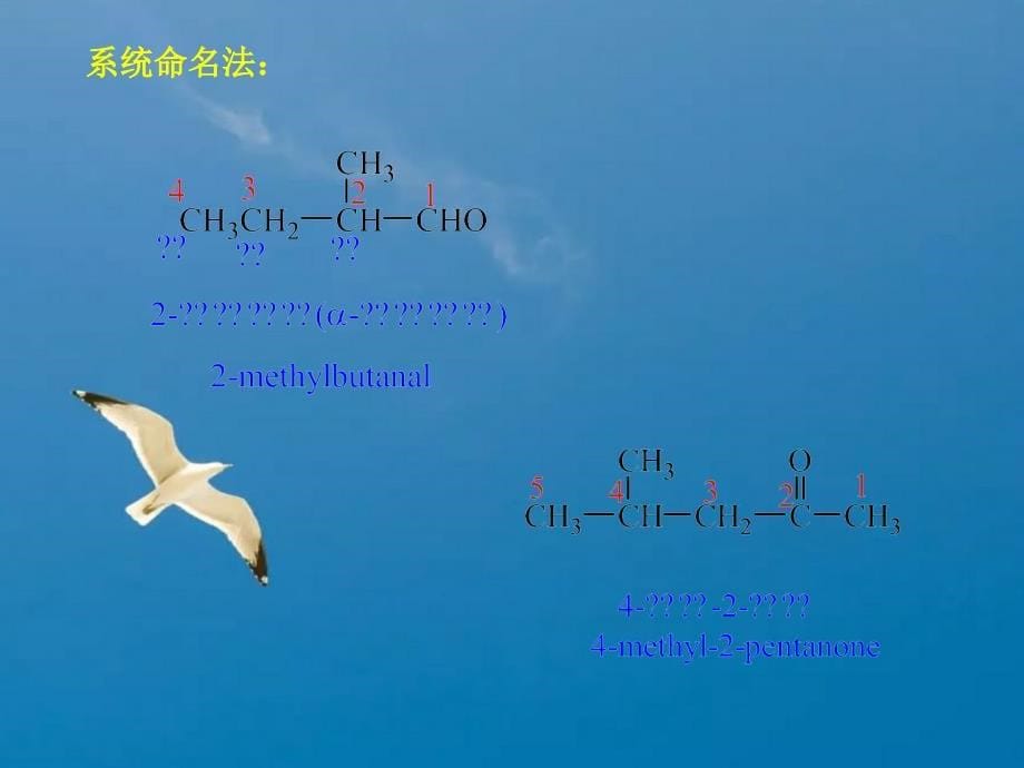 北大有机醛酮ppt课件_第5页