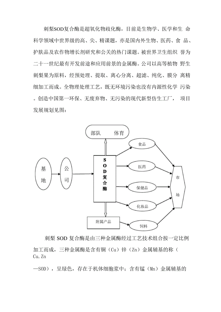 刺梨SOD复合酶项目_第3页