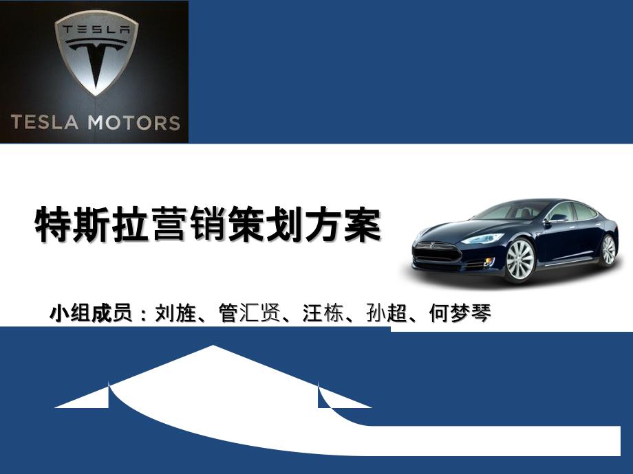特斯拉营销策划方案_第1页