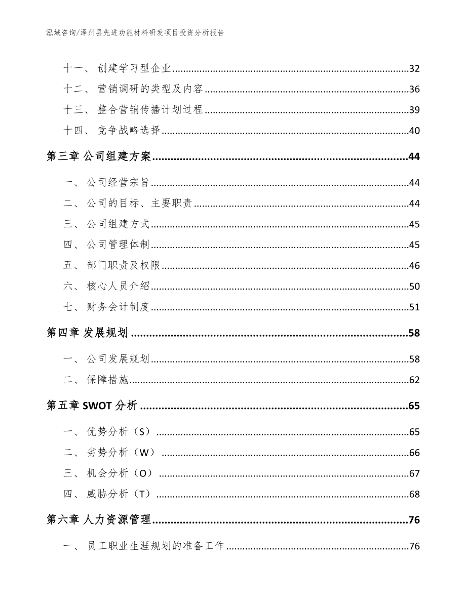 泽州县先进功能材料研发项目投资分析报告_第2页