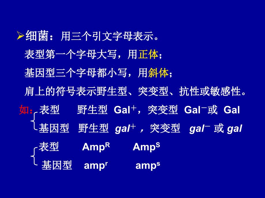 普通遗传学细菌和病毒的遗传.ppt_第4页