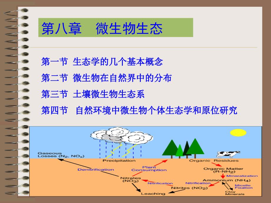 微生物生态季课件_第1页