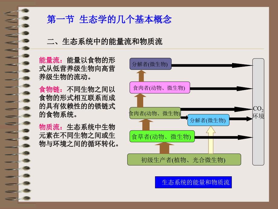 微生物生态季课件_第4页