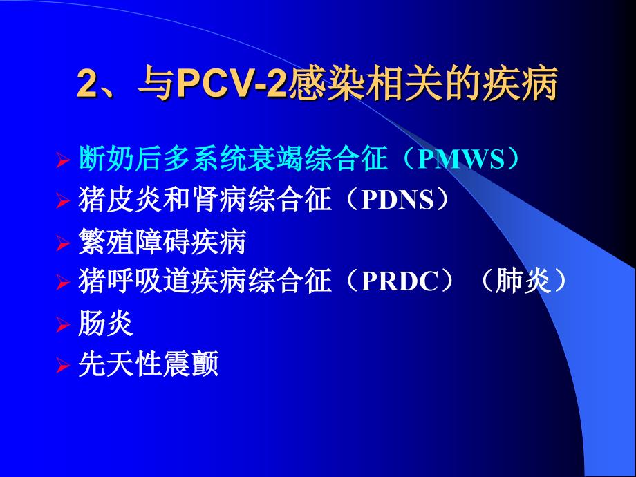 《猪圆环病毒型PCV》PPT课件.ppt_第4页