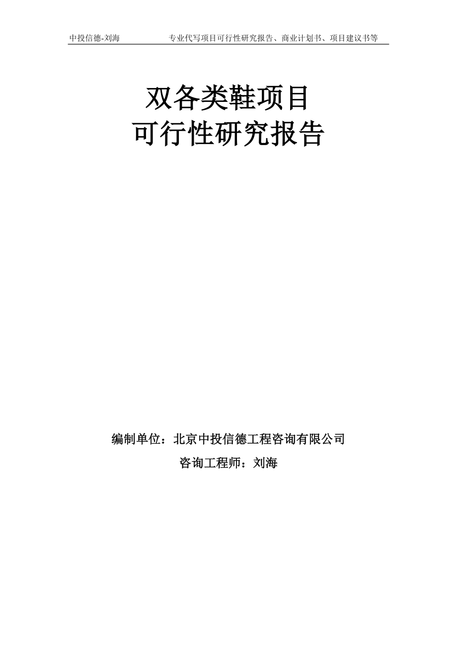 双各类鞋项目可行性研究报告模板备案审批_第1页