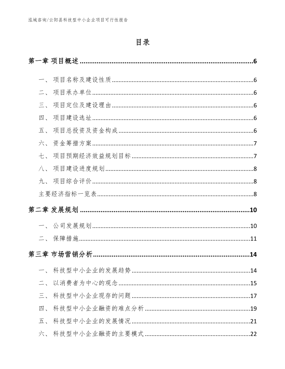 云阳县科技型中小企业项目可行性报告范文_第1页