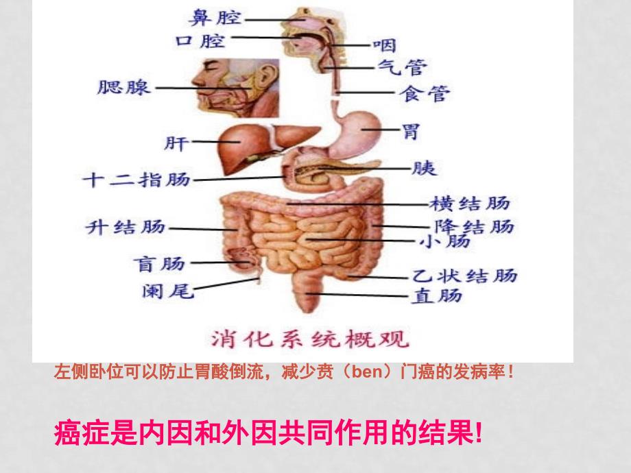 河北省石家庄市质检试卷分析课件_第4页