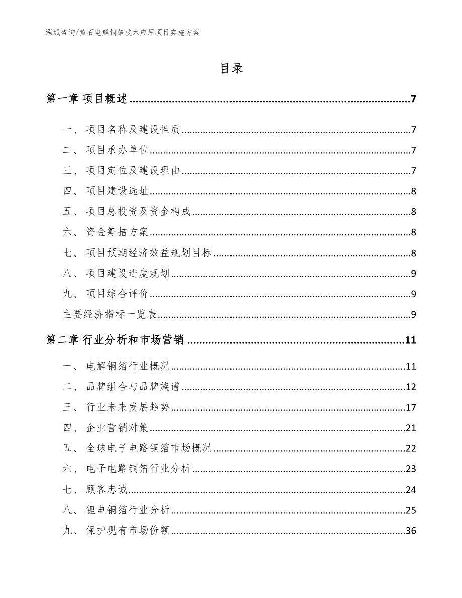 黄石电解铜箔技术应用项目实施方案_第2页