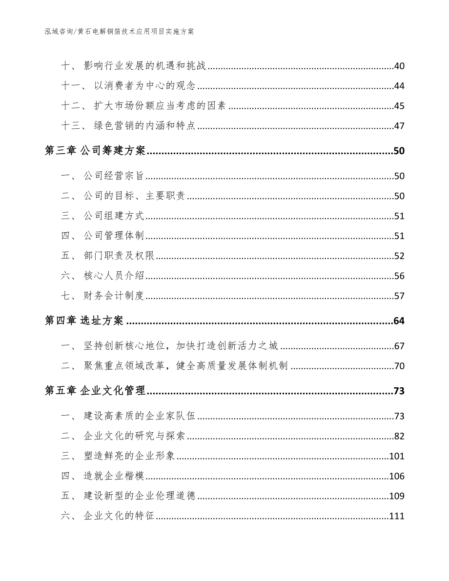 黄石电解铜箔技术应用项目实施方案_第3页