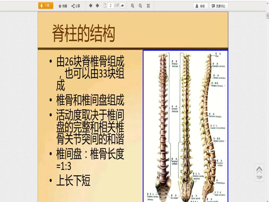 脊柱矫形器概述及头颈部矫形课件文档资料_第2页